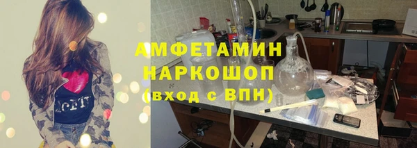 гидропоника Бородино