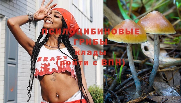 спиды Бугульма