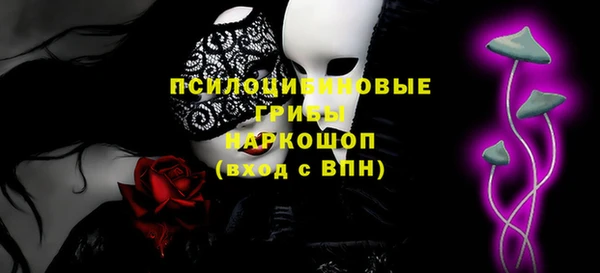 гидропоника Бородино