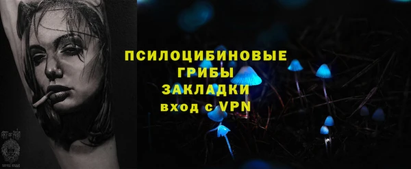 гидропоника Бородино