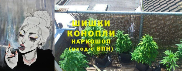 хмурый Бронницы