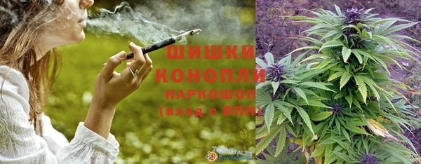 гидропоника Бородино
