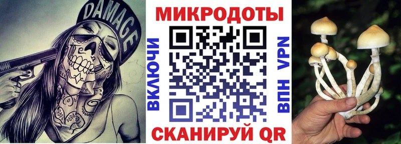 нарко площадка клад  Чебоксары  Псилоцибиновые грибы прущие грибы 